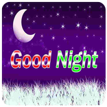 Good Night Shayari