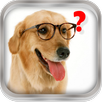 Magic Ball. Ask the dog APK