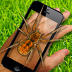 Spider On Hand. Scare Prank APK