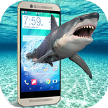 Hungry Shark on Screen angry furious scary joke