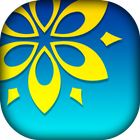 Gallery icon