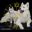 Nice Photo Clock APK