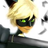 Miraculous Cat Noir Adventures