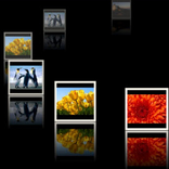 Slideshow of Photos