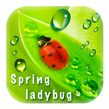 Spring Ladybug (green)
