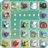 Onet Cute Animal