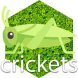 Cricket noises Mp3