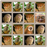 2048 Monkeys