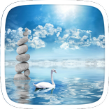 Swan Lake Theme