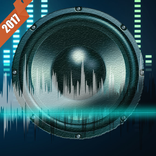 Amplificateur Volume Bass Pro