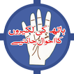 Palmistry icon