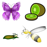 French and English Animals Bugs Fruits Vegetables
