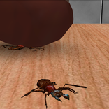 Anti Ant Smasher