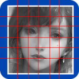 Grid Draw Lite