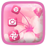 Pink Flower Aroma Theme
