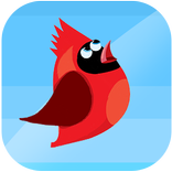 Red Bird Jump Sky