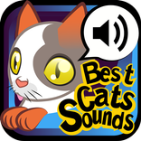 Best Cats Sounds