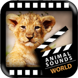 Best World Animals