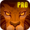 Lion Run + APK
