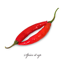 Spice Story-APK