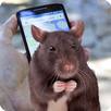 Mouse on Screen Scary Joke APK