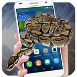 Snake On Screen - Snake Screen