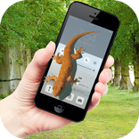 Lizard in phone funny joke