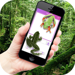 Frog on Phone Prank