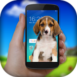 Dog On Screen