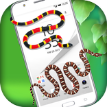 Snake On Screen