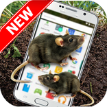 Mouse On Screen - Funny Prank