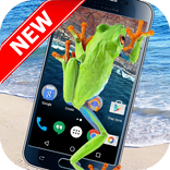 Frog On Screen - Funny Prank