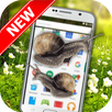 Snail On Screen - Funny Prank APK