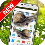 Snail On Screen - Funny Prank