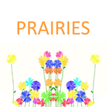 PRAIRIES