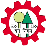 ”eAuction UP Forest Corp.