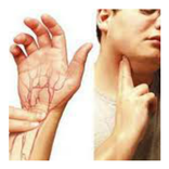 Pulsaciones