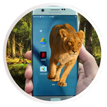Lion On My Screen