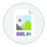 DSC Auto Rename