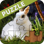 Coniglio puzzle