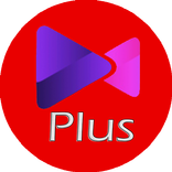 ReplisPLUS HINT