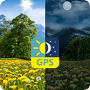 Summer Dandelion Live Wallpape APK