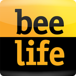 Beelife