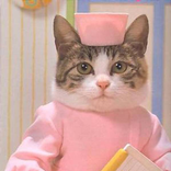 Doctor in the pocket