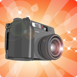 Pose for a photo.