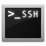Rooted SSH/SFTP Daemon