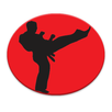 Aikido Glossary APK