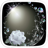 White Rose Theme