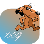 DOG-RUNNER