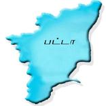 TN Patta, Chitta, EC